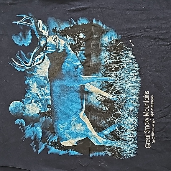 Vintage Great Smoky Mountains T-shirt - Picture 2 of 6